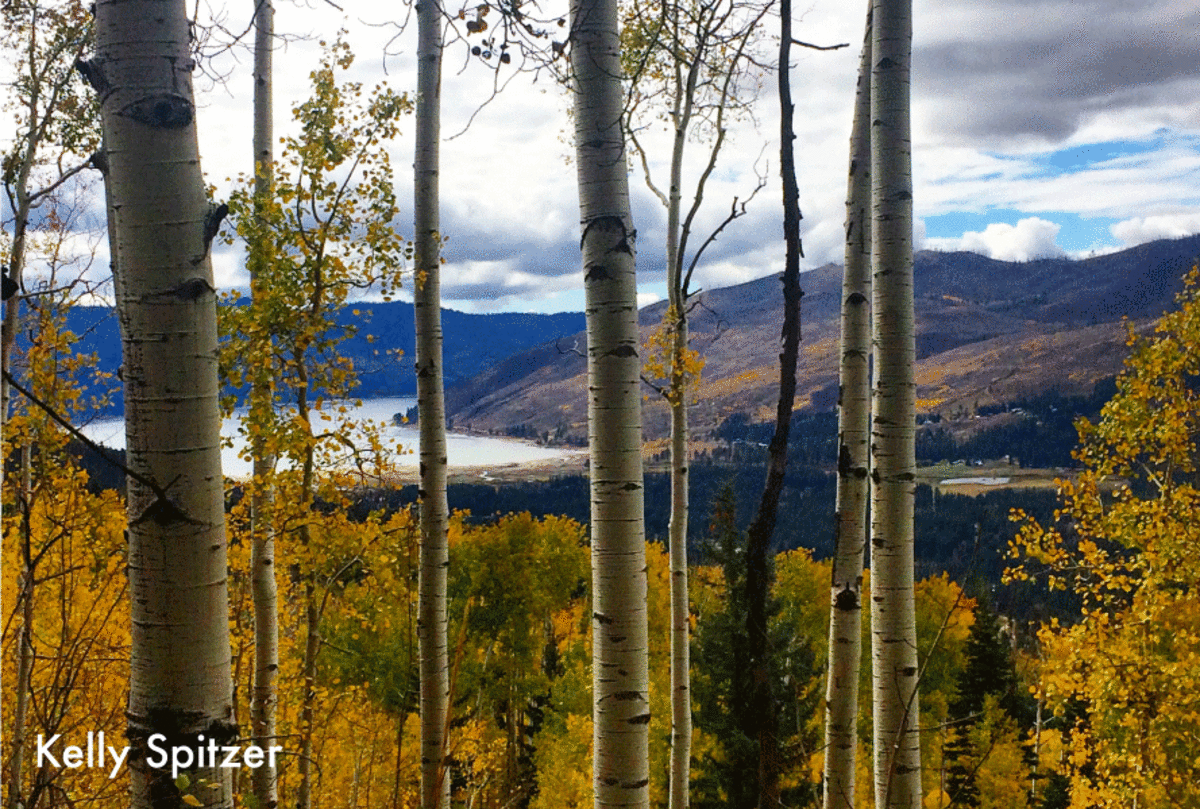 Fall at Vallecito Reservoir