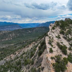 Horse Gulch During the Summer Via Drone