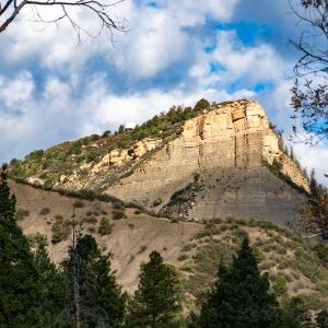 Overend Mountain Park During Summer