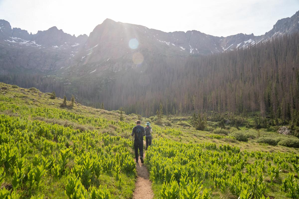 Chicago Basin In The Summer