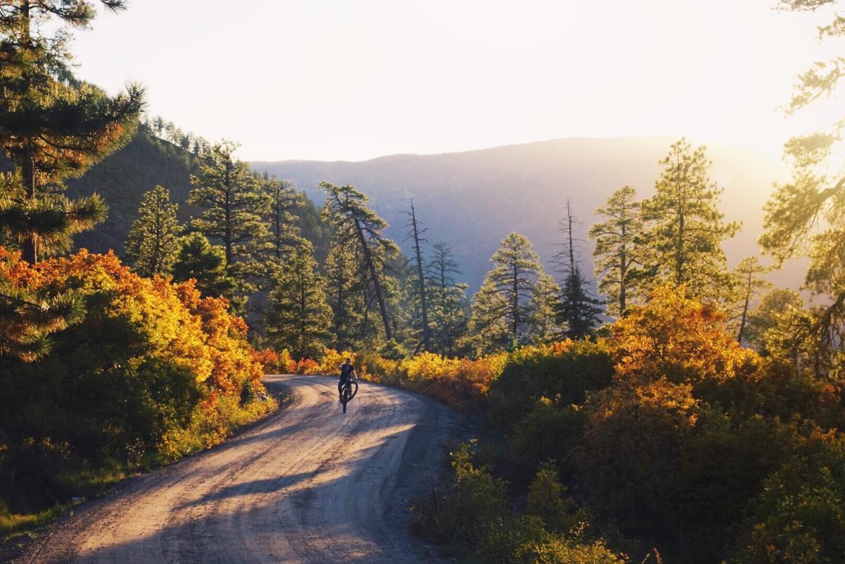 Biking on the Hermosa Creek Trail in Fall