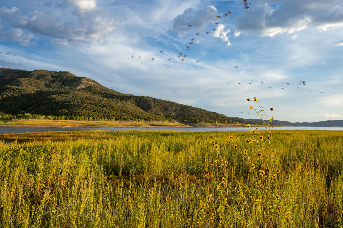 Sunset and Golden Hour Over Navajo Lake During Summer