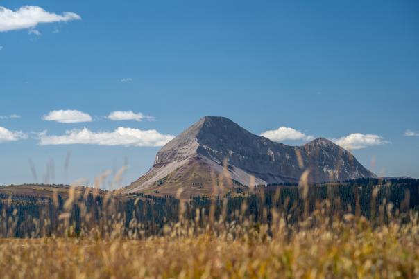 Engineer Mountain from the Colorado Trail During Fall