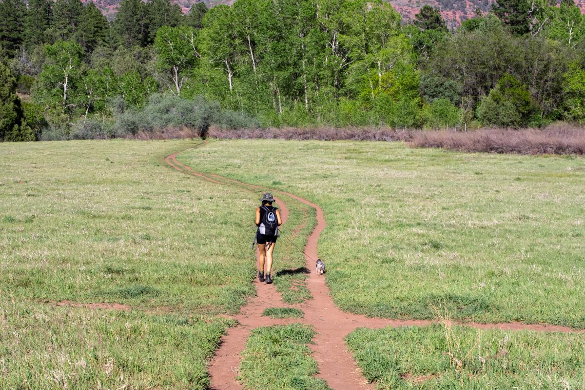 Hiking to the Falls Creek Waterfalls During Spring | Hans Hollenbeck | Visit Durango