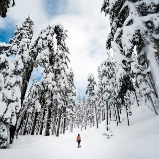 Snowshoeing at Purgatory Resort During Winter