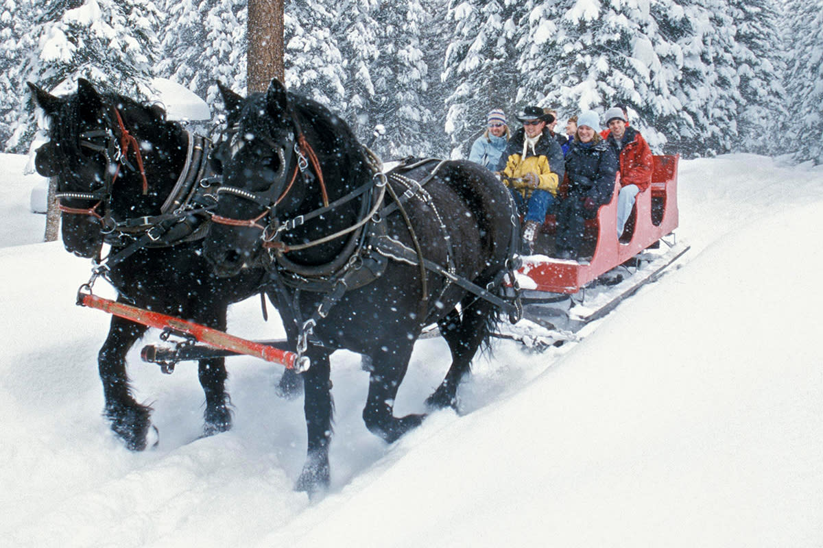 Sleigh Ride in the Animas Valley