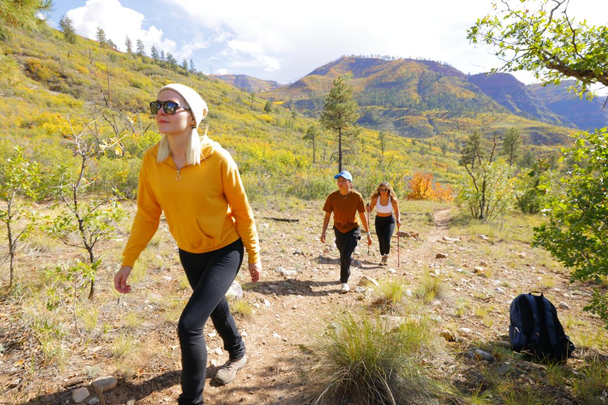 Hiking the Stevens Trail on Missionary Ridge During Fall