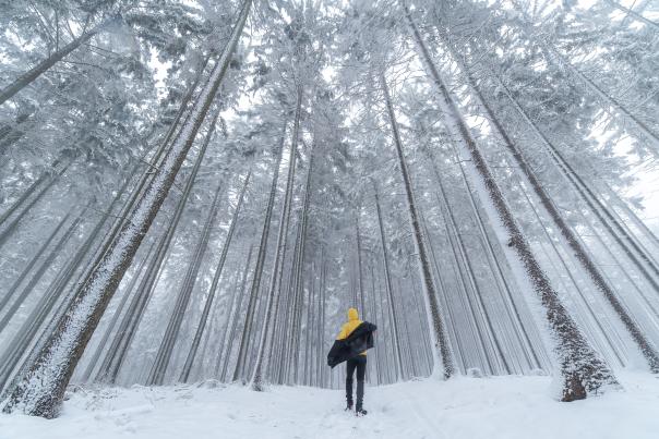 Hiking Colorado Trail in Durango During the Winter