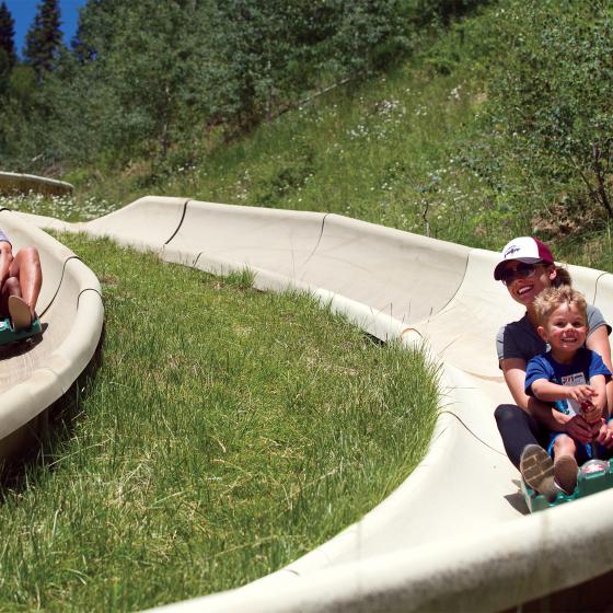 Alpine slide