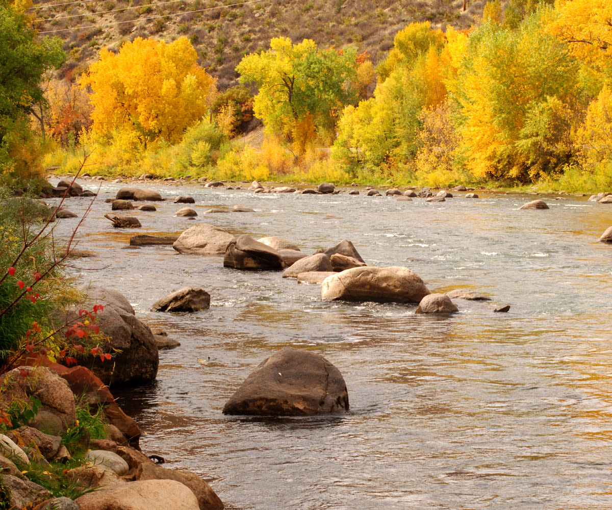 Animas River During Fall