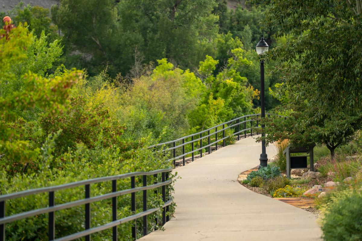 Animas River Trail