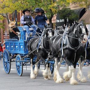 Durango Poetry Gathering