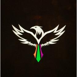 Soaring Bird Logo