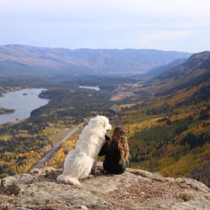 Dog and owner hiking