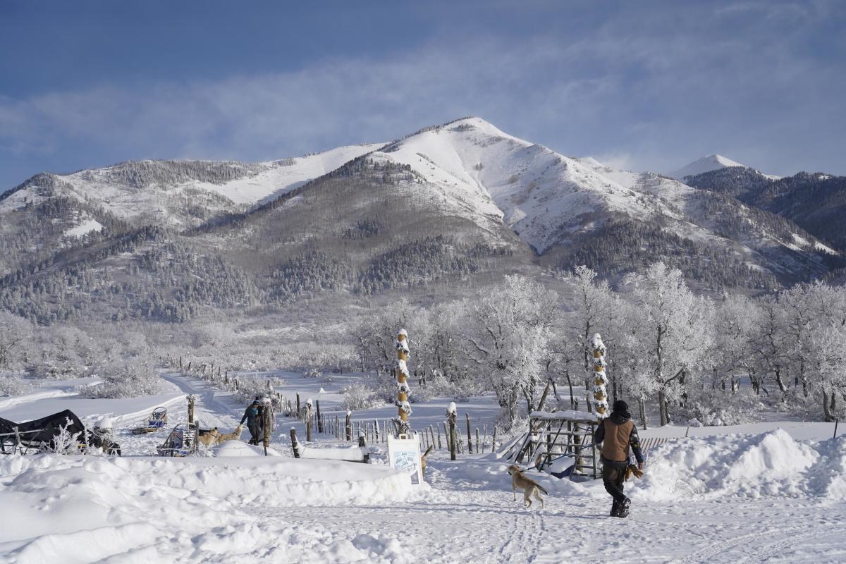 Dog Sledding in Durango