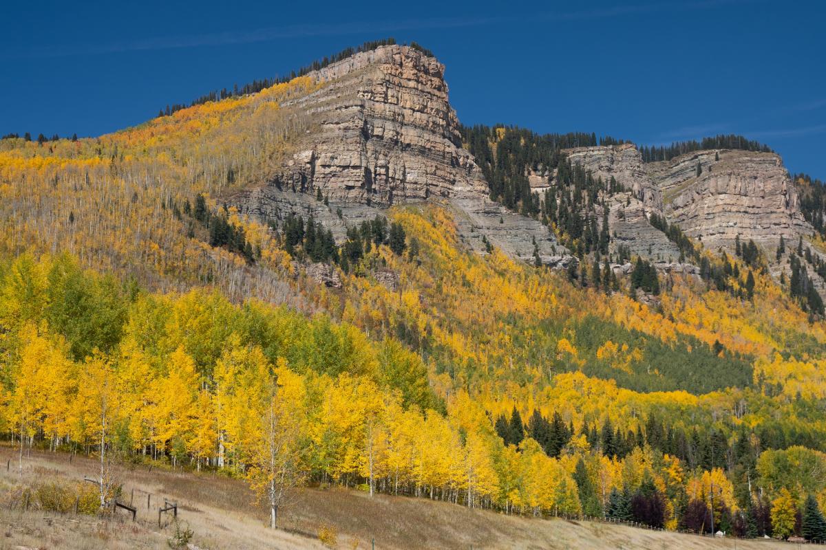 Fall Colors at Castle Rock Peak, Durango, CO