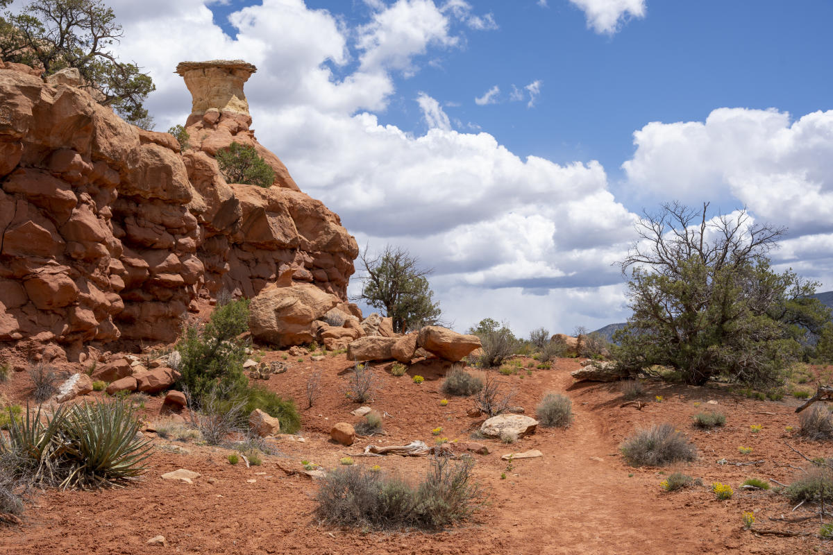 Hiking at Canyon of the Ancients National Monument