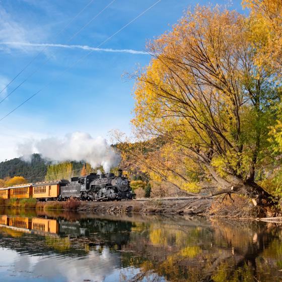 Fall Train