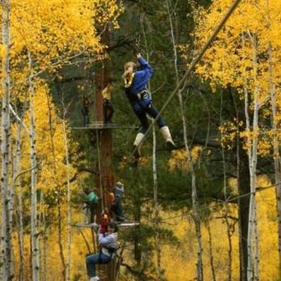 Soaring in autumn Aspens