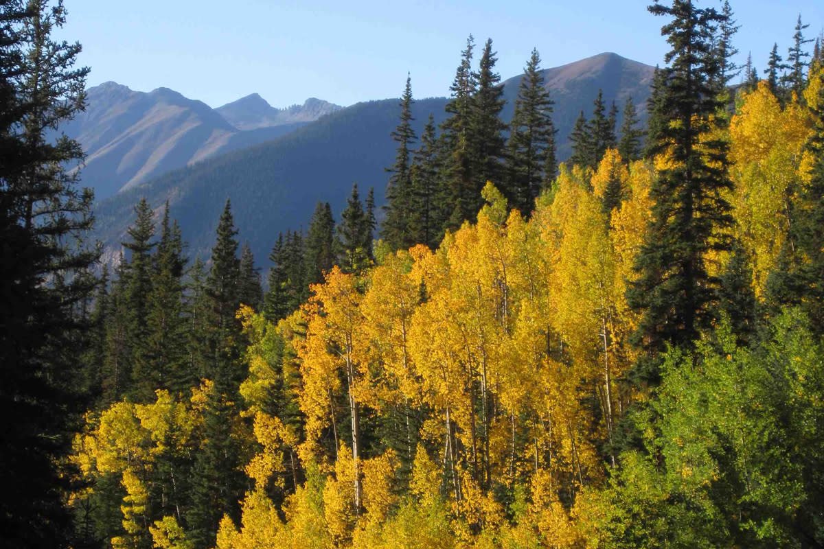 Gudy's Rest on the Colorado Trail in Fall