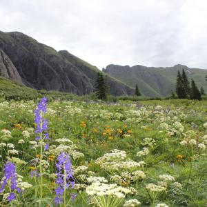 Ice lake basin