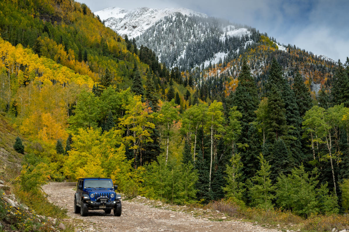 La Plata Canyon Drive in Fall, Durango, CO