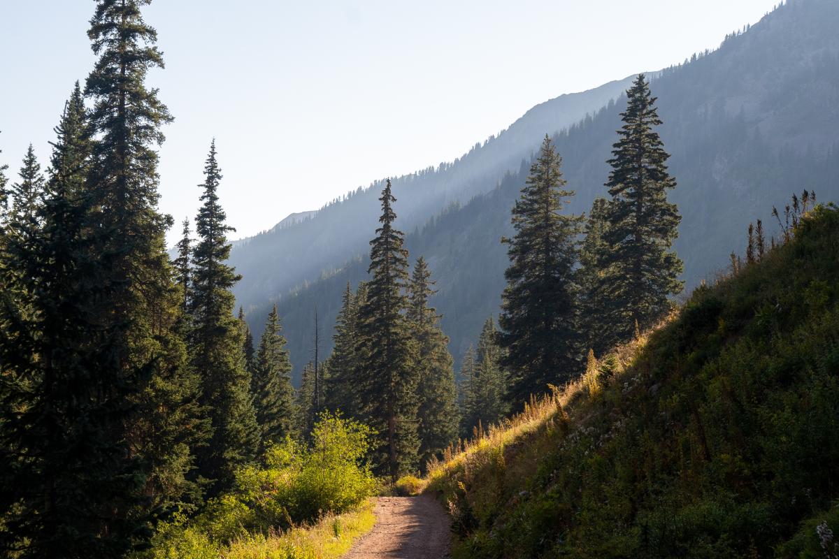 La Plata Canyon