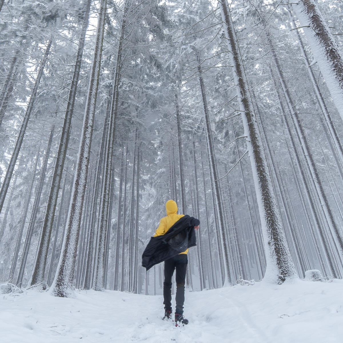 La Plata Canyon Winter Hike