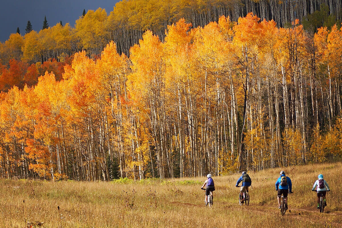 Mountain Biking on Aspen Loop Trail, Durango, CO