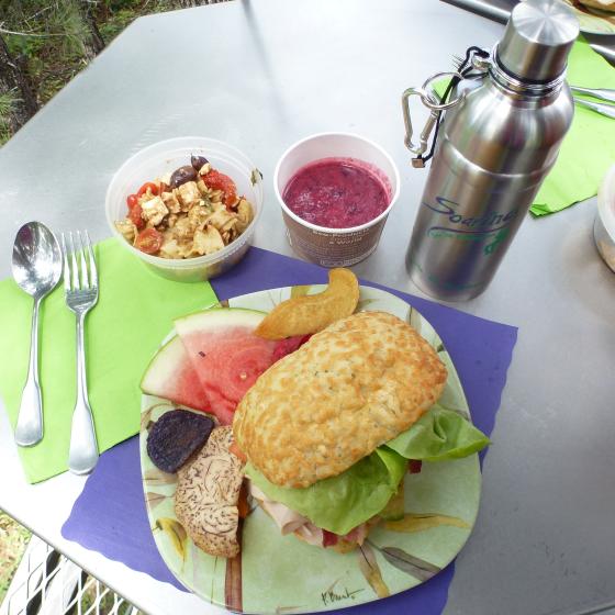 Lunch served in the trees