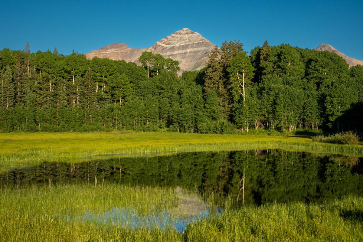 Hesperus Mountain During Summer