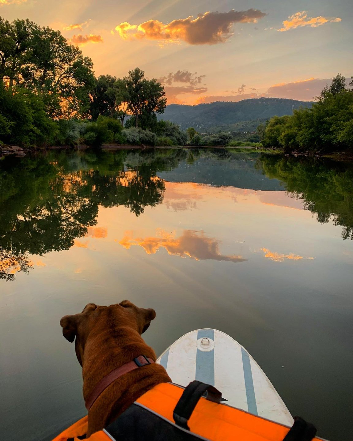 SUP on the Animas River