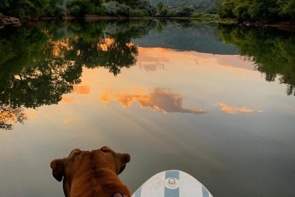 SUP on the Animas River