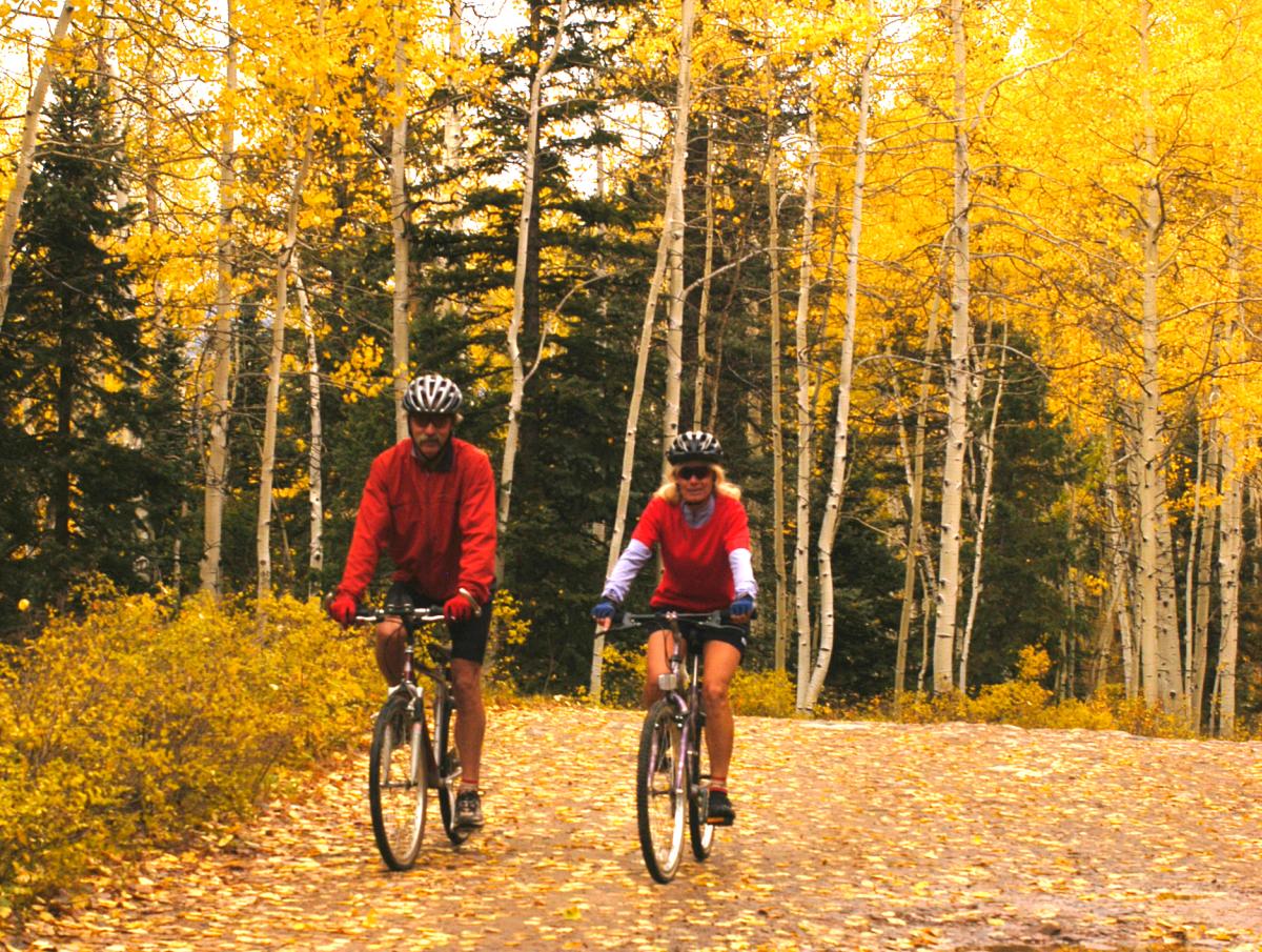 Biking Down La Plata Canyon in Fall