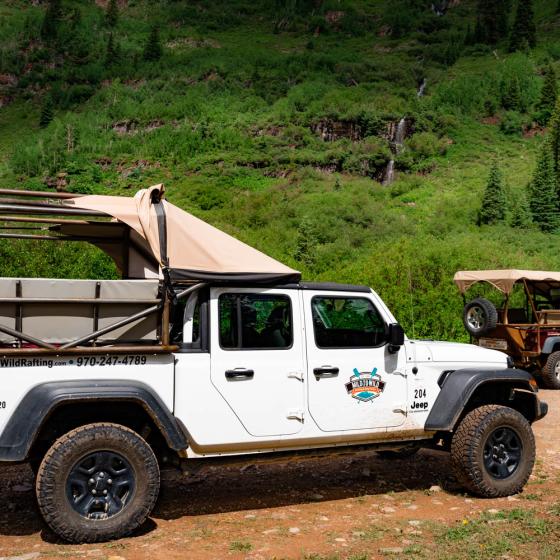 white Jeep