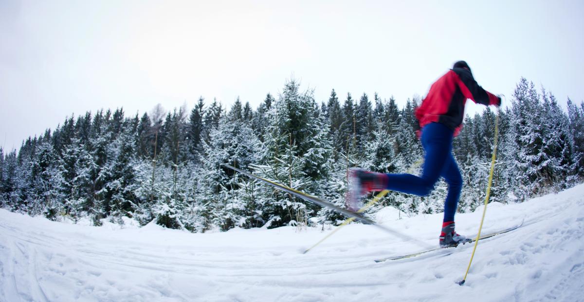 nordic skier