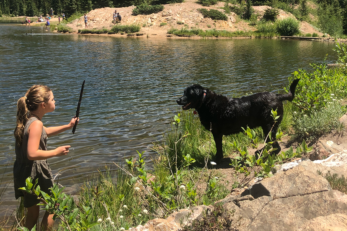 Dog at Potato Lake