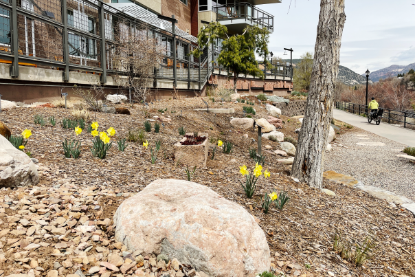 Durango Botanic Gardens, Durango, CO